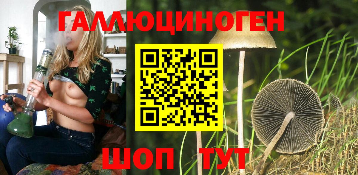Черняховск  купить   Вход с VPN  Галлюциногенные грибы Cubensis 