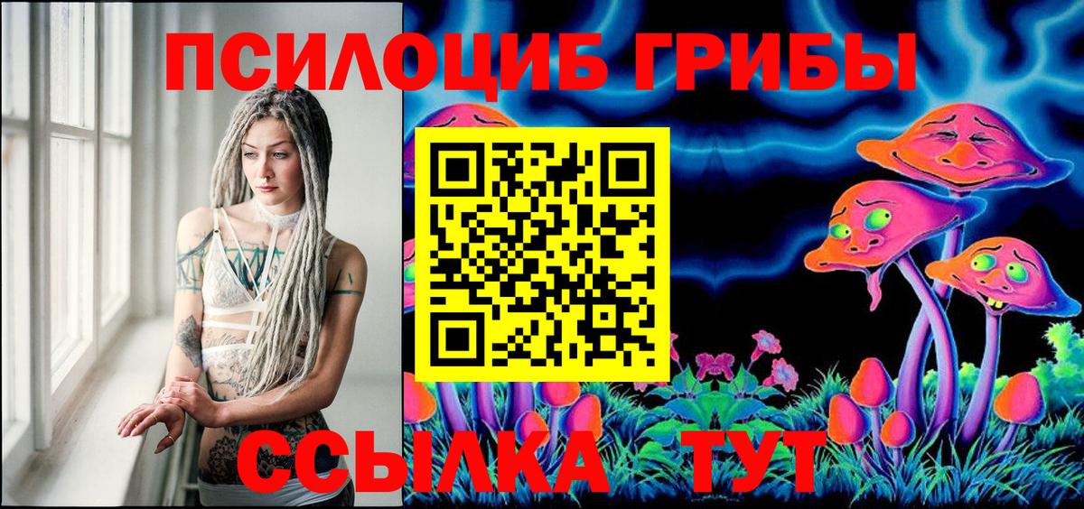 Галлюциногенные грибы мицелий Черняховск